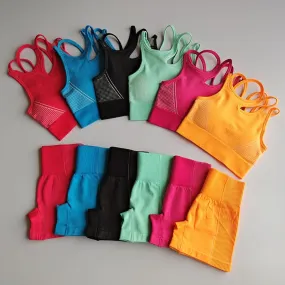 2pcs Seamless Yoga Sets Women Sport Wear